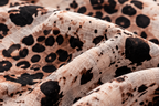 Turkish Textured Printed Lawn – Leopard Print